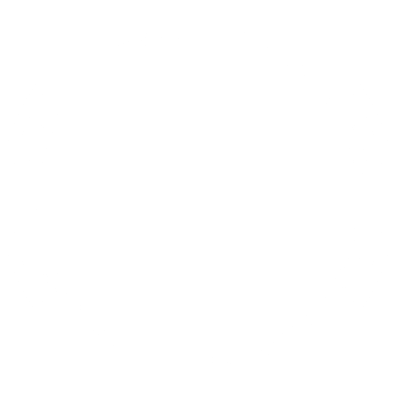PISOS VINILICOS